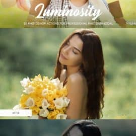 CreativeMarket Luminosity Actions for Photoshop 4848059 Free Download