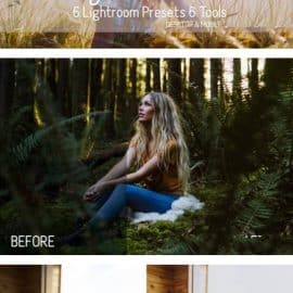 CreativeMarket Perfect Portrait Lightroom Presets 5931457 Free Download