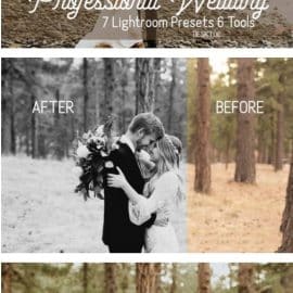 CreativeMarket Pro Wedding Lightroom Presets 3108446 Free Download