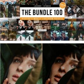 CreativeMarket THE BUNDLE 100 Lightroom Presets 6133635 Free Download