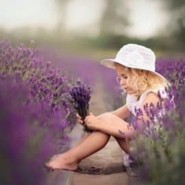 Daniel Venter Post Processing Video – Lavender