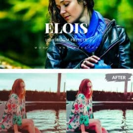 Elois Lightroom Presets Dekstop and Mobile Free Download