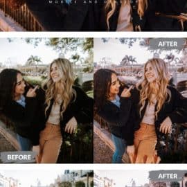 Emile Lightroom Presets Dekstop and Mobile Free Download