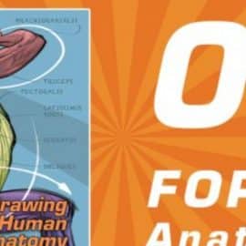 FORCE Drawing Courses – 04 FORCE Human Anatomy by Michael Mattesi