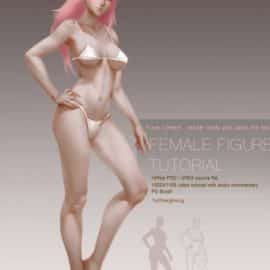 Gumroad – Paint Female Body Tutorial by Yu Cheng Hong