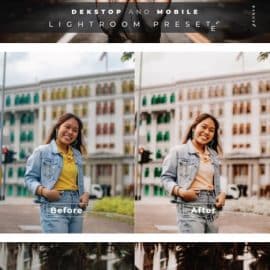 Hedwig Desktop and Mobile Lightroom Preset Free Download