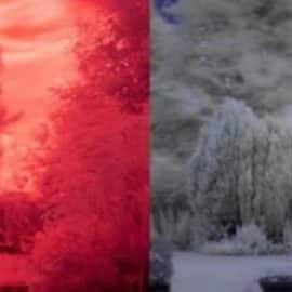 Infrared RAW Photography Post Processing in Photoshop CC 2021 Free Download