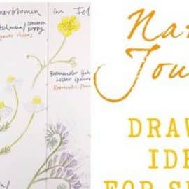 Nature Journal: Drawing Ideas for Summer