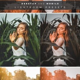 Oskar Desktop and Mobile Lightroom Preset Free Download