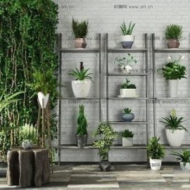 Plants Collection 84 Free Download