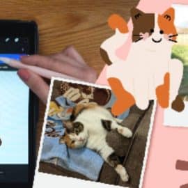 Simple and Charming GIFs in Procreate: Illustrate and Animate Your Pet