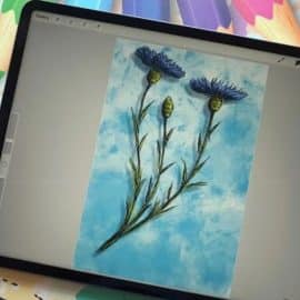 Sketching and Doodling Fun with Cornflowers in Procreate Free Download