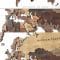 Wooden panel world map 2 Free Download