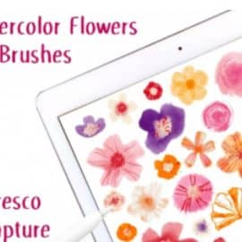 iPad Art: Paint Watercolor Flowers, Patterns and Brushes in Adobe Fresco & Adobe Capture