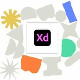 Adobe XD UX UI design For beginners Free Download