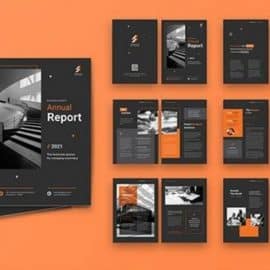 Annual Report FEMYBZR Free Download