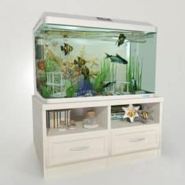 Aquarium with a curbstone Free Download