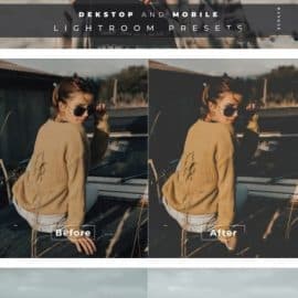 Ayara Desktop and Mobile Lightroom Preset Free Download