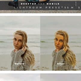 Bibi Desktop and Mobile Lightroom Preset Free Download