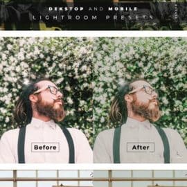 Bimala Desktop and Mobile Lightroom Preset Free Download