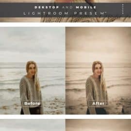 Bina Desktop and Mobile Lightroom Preset Free Download