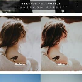 Cetta Desktop and Mobile Lightroom Preset Free Download