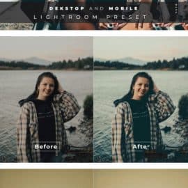 Chaaya Desktop and Mobile Lightroom Preset Free Download