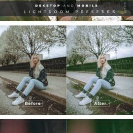 Chaka Desktop and Mobile Lightroom Preset Free Download