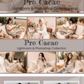 CreativeMarket Cacao Lightroom Photoshop LUTs 6364271 Free Download