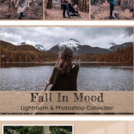 CreativeMarket Fall In Mood Lightroom PS Presets 6360419 Free Download