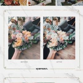 CreativeMarket New Vintage Lightroom Preset Bundle 5251230 Free Download