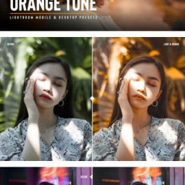 CreativeMarket ORANGE tone mobile & desktop presets 6122045 Free Download