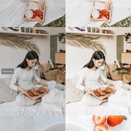 CreativeMarket Oatmeal Pro Lightroom Presets 5928906 Free Download