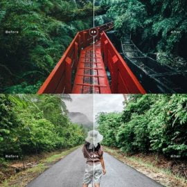 CreativeMarket Rain Forest Pro Lightroom Presets 6346185 Free Download