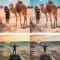 CreativeMarket Sahara Desert Lightroom Presets 6317189 Free Download