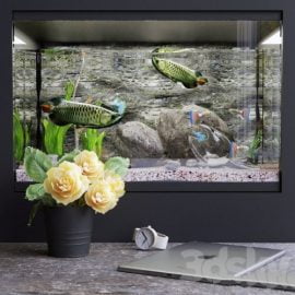 Decorative set with aquarium Free Download