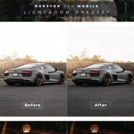 Divyanisa Desktop and Mobile Lightroom Preset Free Download