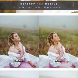 Dwiaria Desktop and Mobile Lightroom Preset Free Download