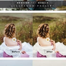 Dyah Desktop and Mobile Lightroom Preset Free Download