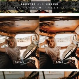 Enzi Desktop and Mobile Lightroom Preset Free Download