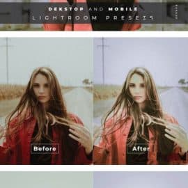 Freissy Desktop and Mobile Lightroom Preset Free Download