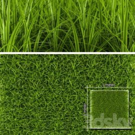 GRASS 1 Free Download