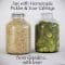 Homemade Pickles & Sour Cabbage Free Download