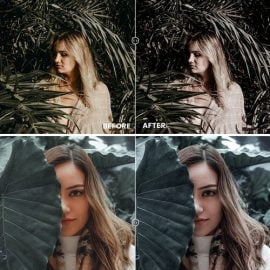 Moody Portrait Action & Lightrom Presets Free Download