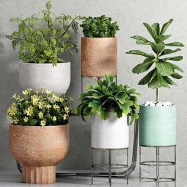 PLANT SET -81 Free Download