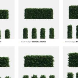 Polyget Beech Hedges 3D Models Collection Free Download