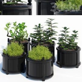 Round versailles planter 2 Free Download