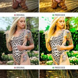 Sunny Summer Tones Action & Lightroom Preset Free Download