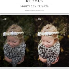 Twig & Olive Photography Be Bold Presets Free Download