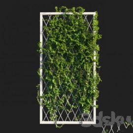 Vines on wall Free Download